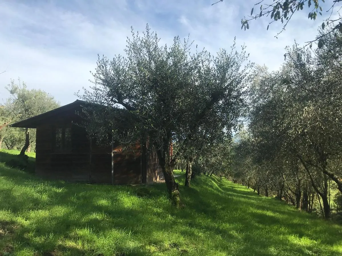 Agriturismo Podere I' Caldino Troghi 0*,  Itálie